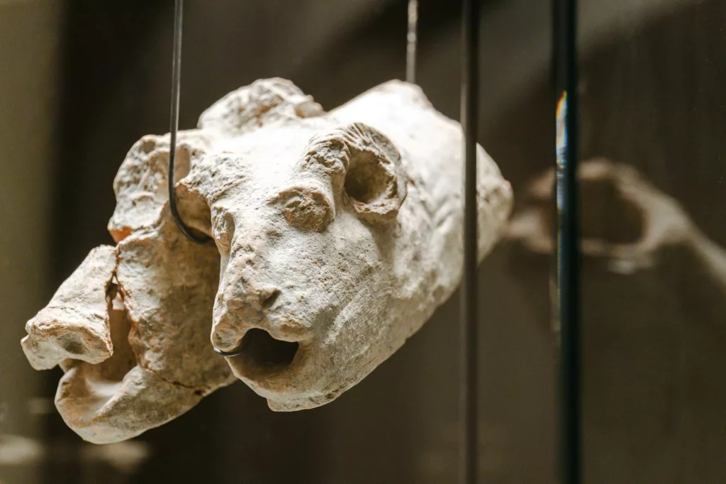 Gocciolatoio in terracotta a doppia protome - cinghiale e ariete - di epoca romana